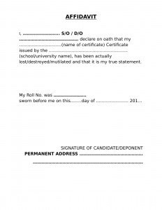 loss of document affidavit