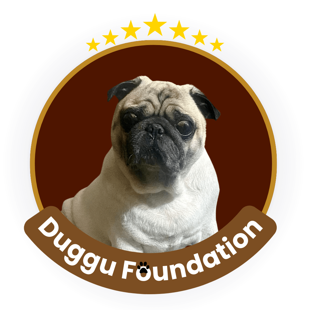 Duggu Foundation – footer Duggu Foundation - footer