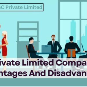 Private Limited Company Advantages And Disadvantages | Pros & Cons of Pvt Ltd Company