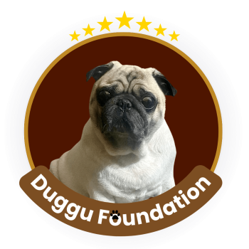 Duggu Foundation – footer Duggu Foundation - footer