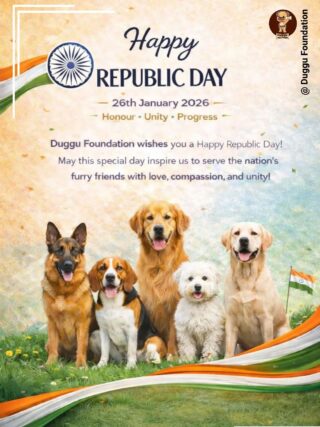 🇮🇳 Happy Republic Day from Duggu Foundation 🇮🇳
On this Republic Day, we honor the values of our Constitution—justice, equality, and integrity. Duggu Foundation remains committed to empowering communities and contributing to a stronger, inclusive, and progressive India.

Let us move forward together for the nation.
Jai Hind.

#RepublicDay #DugguFoundation #NationFirst #India #ServingIndia ProudIndian