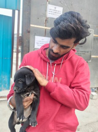 During our last food drive, we met the tiniest new member of our street family. 🐾
Born just a few weeks ago, this little furry friend—with his jet-black coat, tiny paws, wiggly tail, and innocent eyes—completely stole our hearts.

He may be small, but his spirit is big. The streets are his world, and love is what helps him grow stronger. Moments like these remind us why we do what we do—feeding, caring, and standing by our furry friends from their very first steps.

🤍 Support Duggu Foundation
🐾 Donate | Volunteer | Spread Kindness

Visit to know more!!
eDrafter.in

#DugguFoundation #FoodDrive #PuppyLove #StreetDogsOfIndia #BlackPuppy #AnimalWelfare #BeKindToAnimals #PawsOfHope