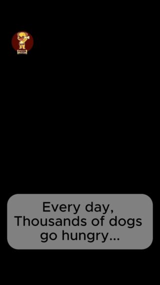 They didn't ask to be born on the streets. But they deserve love, food & care just like any of us.

At Duggu Foundation, we show up every single day — with food, medicine, and love for our street dogs.
Join us. Support us. Share this.

Link in bio to donate / volunteer

#DugguFoundation #StreetDogs #AnimalWelfare #DogsOfInstagram #NGO #HelpStreetDogs #DogRescue #IndiaForAnimals #StreetDogLove #AnimalRescue #dugguslegacy