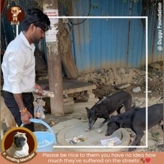 🍲🐾 Please be nice to them — you have no idea how much they’ve suffered on the streets. 💔

During our food drive, we met countless little souls who’ve faced hunger, fear, and loneliness — yet still wag their tails when shown a bit of kindness. 💛 Every meal we serve reminds us that compassion costs nothing but means everything. 🌸

Let’s feed them, love them, and make their world a little softer. Together, we can be the reason a stray dog feels safe tonight. ❤️🐶

#DugguFoundation #FoodDrive #FeedTheStrays #KindnessMatters #StrayDogsMatter #SaveStrayDogs #PuppyLove #CompassionInAction #BeTheChange #AnimalCare #AdoptDontShop #dugguslegacy