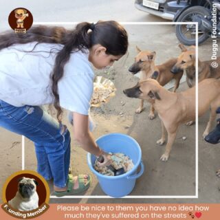 Our dedicated and dog-friendly volunteers came together once again to make sure no stray goes hungry. Every smile, every wagging tail, and every shared moment remind us why kindness matters. 

At Duggu Foundation, we believe that compassion starts right where you are — and these amazing volunteers are living proof of that. 🐶🌸

Together, we’re not just feeding them — we’re giving them hope. 🌍💫

#DugguFoundation #FoodDrive #FeedTheStrays #StrayDogsMatter #DogLovers #KindnessMatters #BeTheChange #HappyPaws #VolunteerLove #RescueDogs #CompassionInAction #SaveStrayDogs #dugguslegacy