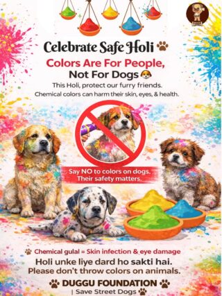 Happy Holi from Duggu Foundation

This festival of colors, let’s spread love — not fear. 

Stray dogs don’t understand Holi. The chemicals in colors can harm their skin, eyes, and health.

Please celebrate responsibly.
🚫 Don’t throw colors on stray animals.
💧 Offer them water and kindness instead.

Let’s make this Holi safe for everyone — including our voiceless friends.

#HappyHoli #DugguFoundation #BeKindToAnimals #SafeHoli #StrayDogsMatter