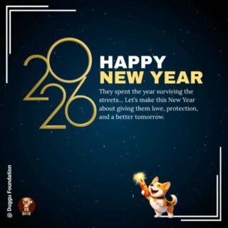 As we welcome 2026, Duggu Foundation extends heartfelt wishes for a year filled with hope, health, and positive change.

Thank you for supporti99ng our mission and standing with us.

✨ Happy New Year 2026 ✨

#HappyNewYear2026 #DugguFoundation #TogetherForChange