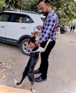 Love, food, and little moments of joy!

During our food drive, our volunteers not only fed these innocent souls but also spent time playing with them — because emotional nourishment is just as important as a full stomach.

One of the sweetest moments was when a stray dog stood up on its two legs with support, just to get closer to our volunteers. That tiny gesture showed how much trust and love they carry in their hearts, even after everything they’ve faced on the streets.

At Duggu Foundation, these small, beautiful moments remind us why kindness matters. Let’s continue giving them the love they deserve.

#DugguFoundation #FoodDrive #FeedTheStrays #StrayDogsMatter #DogLovers #HappyPaws #VolunteerLove #SaveStrayDogs #CompassionInAction #BeTheChange #RescueLove #FurryFriends