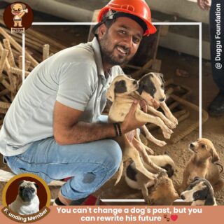 Moments of pure joy! One of our amazing volunteers spent time with our little furry friends 🐶 They eagerly waited for him, knowing their meal was on the way 🍲🐾 Happiness truly lies in sharing love and food. 

#FoodDrive #FurryFriends #SpreadLove #KindnessInAction #duggufoundation #dugguslegacy #volunteering #lovewithcare #strayanimals #puppiesforall