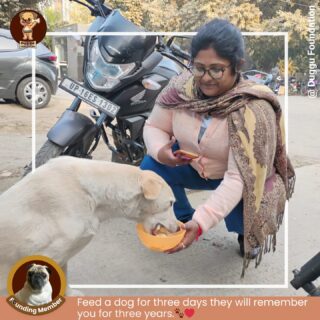 Winter is hard. Streets are colder.
But love makes a difference.
From food to warm clothes, Duggu Foundation stands with our furry friends.

✨ Support us—Donate or Volunteer

Visit to know more: edrafter.in/duggu-foundation

#DugguFoundation #FeedStreetDogs #AnimalWelfareIndia #dugguslegacy #BeKindToAnimals
#DonateForDogs #VolunteerWithLove #WinterRelief #PawsOfHope