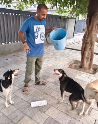 Duggu Foundation serves love in the form of food to our stray friends 🐶🐾 From milk & bread to curd & roti – we do our best to fill their hungry bellies and bring them comfort. Each meal is a small promise that they are not forgotten.

Join the @duggufoundation in this mission of care and kindness 💛

👉 Support. Donate. Share.

#DugguFoundation #FoodDrive #StrayCare #AnimalWelfare #ServeWithLove #FeedTheStray #BeTheirVoice #CompassionInAction #NGOIndia #dugguslegacy