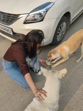 🍲🐾 More than a meal — it’s a moment of connection.

During our food drive, our volunteers weren’t just feeding the stray dogs… they were laughing with them, playing with them, and sharing time that meant more than words ever could. ❤️

What touched us most was seeing them patiently wait — tails wagging, eyes full of trust — because they knew we were coming. That trust is priceless.

At Duggu Foundation, we believe food fills their stomachs, but love fills their hearts.
Let’s continue showing up for them — with kindness, compassion, and care.

#DugguFoundation #FoodDrive #FeedTheStrays #StrayDogsMatter #KindnessMatters #VolunteerLove #HappyPaws #SaveStrayDogs #CompassionInAction #AdoptDontShop #BeTheirVoice