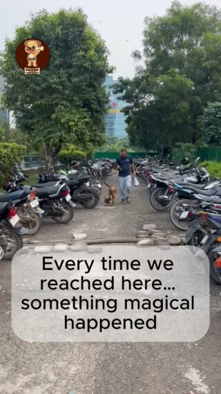 Every time we walked down this lane, a few little tails reminded us what pure love feels like 🐾💖
Their eyes lit up, their paws ran to us, and their hearts welcomed us like family.

What began as a food drive turned into a bond of trust, care, and unconditional love. ❤️

🌸 Join us in this beautiful journey —
👉 Donate, Volunteer, or simply spread the word.
Together, let’s make every stray’s life brighter. 🌟

#DugguFoundation #FoodDriveForStrays #AnimalRescue #StrayDogsOfInstagram #StreetDogsLove #PetLoversIndia #StrayCare #DogsOfInstagram #StrayDogLove #AdoptDontShop #StreetTails #SaveTheStrays #AnimalLoversClub #CompassionInAction #FeedTheStrays #LoveAllBeings