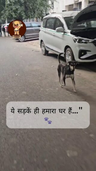 🐾 Delhi-NCR Dogs Need Us Now! 🐾

The Supreme Court’s recent order to remove all stray dogs from our streets is not just a policy change — it’s a life sentence for countless innocent animals. These voiceless beings have grown up among us, trusting us, loving us… and now they’re at risk of being taken away forever.

Be their voice. Speak out. Share this reel. Sign petitions. Contact local authorities.

Together, we can fight for a compassionate solution — one that protects both people and our four-legged friends.

#SaveDelhiDogs #VoicesForTheVoiceless #ProtectStrayDogs #DelhiNCR #StopTheBan #StrayDogsAreFamily #SaveDelhiNCRDogs #Straydogs #betheirvoices