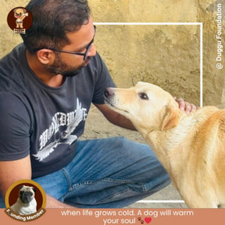 When life grows cold, a dog will warm your soul.

Through this food drive, we didn’t just serve meals—we shared warmth, love, and comfort with those who feel the cold the most.
Every wagging tail, every gentle look, reminds us that even in the toughest conditions, their love remains pure.

At Duggu Foundation, we strive to be that warmth in their lives. 🤍

✨ Join us in spreading kindness
🐕 Donate | Volunteer | Make a difference

#DugguFoundation #FoodDrive #FeedTheVoiceless #StreetDogsOfIndia #AnimalLove #WinterCare #KindnessMatters