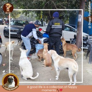 Every evening, they wait… and we show up.

As our volunteers filled the food into disposables, our furry friends sat all around us — some patiently waiting, some standing with hopeful eyes, all trusting that today too, someone would come to feed them.

Their faces said everything: hunger, hope, love… and the belief that they are not alone.
Moments like these remind us why consistency matters — because for them, we’re not just volunteers… we’re a part of their lives.

At Duggu Foundation, every meal served is a promise kept.
Let’s continue being the reason they never sleep hungry. 🙏🐾

#DugguFoundation #FoodDrive #FeedTheStrays #StrayDogsMatter #KindnessMatters #HappyPaws #VolunteerLove #CompassionInAction #SaveStrayDogs #FurryFriendsv #duggulegacy #BeTheirHope